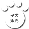 子犬販売