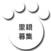 里親募集