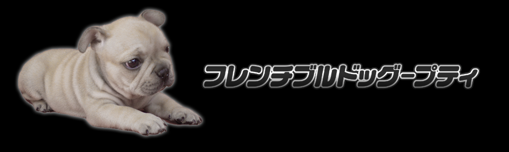 メインビジュアル1