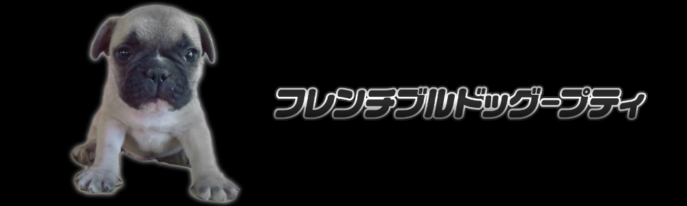 メインビジュアル3
